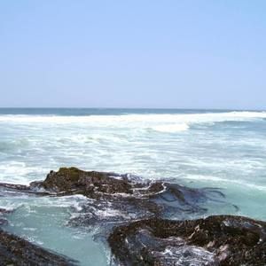 Meet your Posher, Kevin